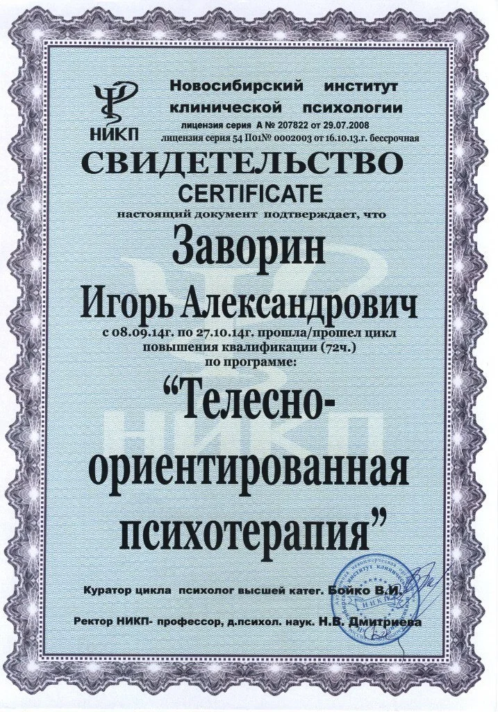Диплом или сертификат 23