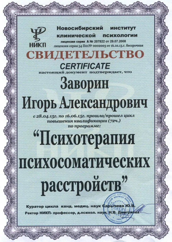 Диплом или сертификат 27