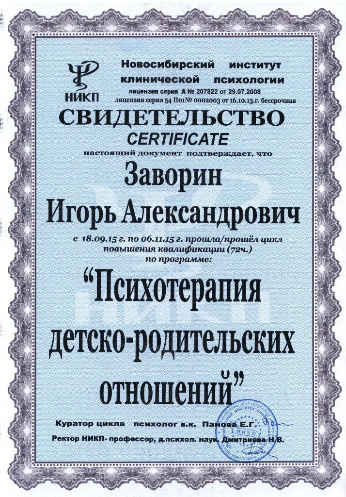 Диплом или сертификат 31
